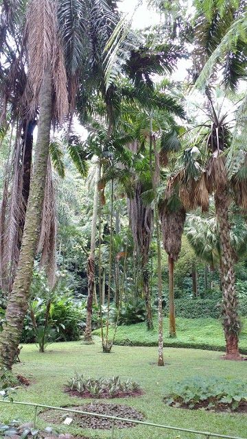 Jardín Botánico del Plan de la Laguna